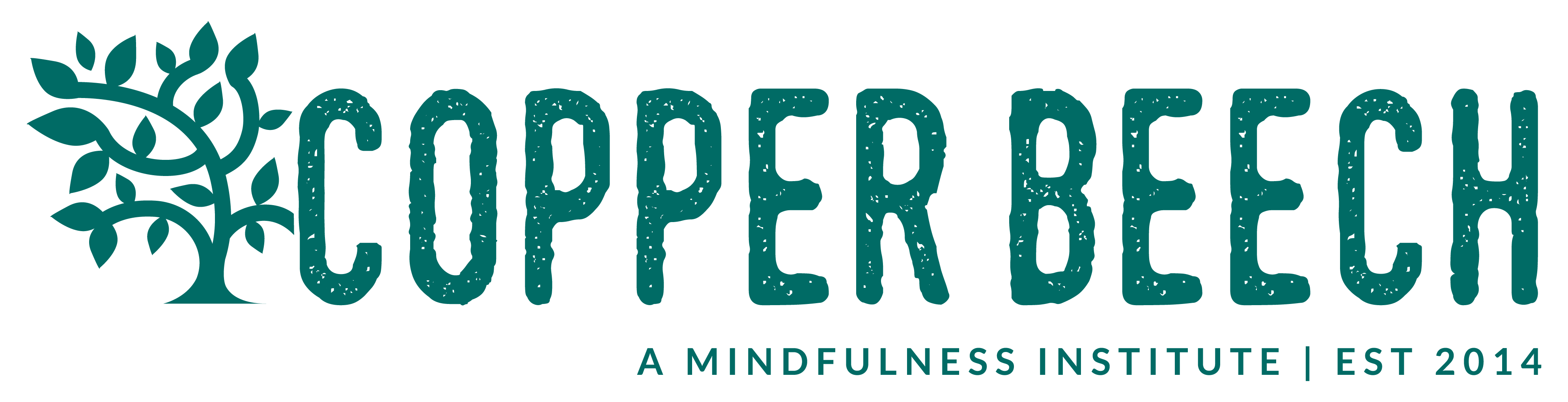 Copper Beech Institute